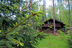 Базы отдыха Костромы в лесу, "Романов лес" эко-отель в лесу - цены