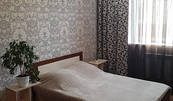&quot;Уютная в тихом спальном районе&quot; 1-комнатная квартира в Михайловске - фото 2