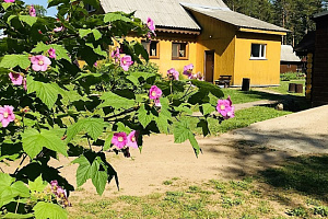 Дома Санкт-Петербурга загородные, "Озерки" загородные