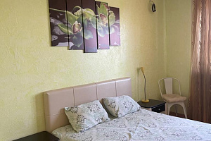 Квартиры Домодедово на месяц, "Уют" 1-комнатная на месяц - фото