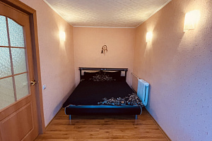 Квартиры Пскова с размещением с животными, 2х-комнатная Гоголя 5 с размещением с животными - раннее бронирование