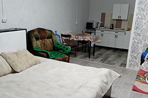 Квартиры Новошахтинска на месяц, квартира-студия Ореховая 5 на месяц - фото