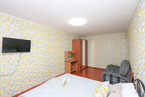 1-комнатная квартира Помяловского 8 в Иркутске 7
