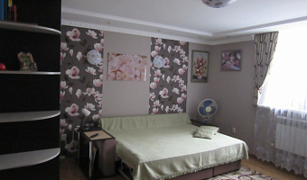 1-комнатная квартира Розы Люксембург 7 в Кисловодске - фото 2