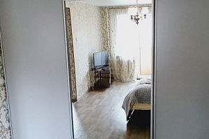 1-комнатная квартира Волгоградская 1 в Казани 3