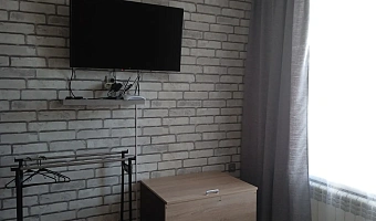 1-комнатная квартира Революции 4 в Павловске - фото 3