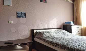 1-комнатная квартира Суворова 155 в Пензе - фото 3