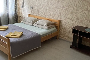 Гостиница в , 1-комнатная Карла Маркса 46 - фото