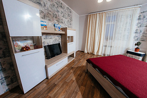 Гостиницы Оренбурга с размещением с животными, 1-комнатная Чкалова 51/1 с размещением с животными - забронировать номер
