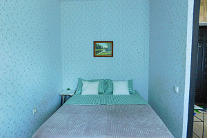 Квартиры Самары на набережной, "Двуглавый Бигль" 1-комнатная на набережной - снять