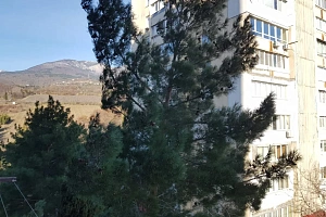 &quot;Просторная с видом на горы&quot; 2х-комнатная квартира в п. Партенит (Алушта) фото 3
