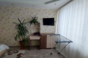 1-комнатная квартира Урицкого 42 в Бодайбо фото 3