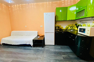 Квартиры Тюмени с размещением с животными, 1-комнатная Житкова 2к1 с размещением с животными - цены