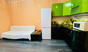 1-комнатная квартира Житкова 2к1 в Тюмени - фото 2