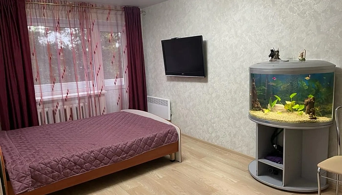 1-комнатная квартира Максима Горького 27 в Медвежьегорске - фото 1