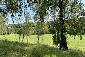 Квартира в , "На Березовой" глэмпинг - цены