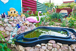 Отдых в Севастополе с бассейном, "Розовый фламинго" с бассейном - забронировать