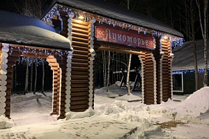 Пансионат в , "Лукоморье" - фото