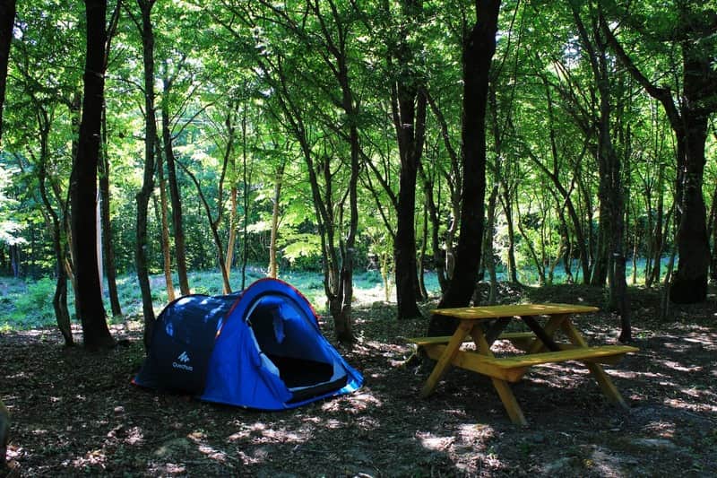 Кемпинг «Кубанец»