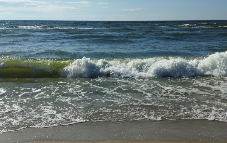 Куршская коса и побережье