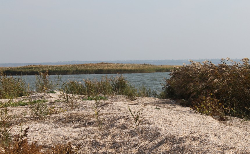 Ейская коса