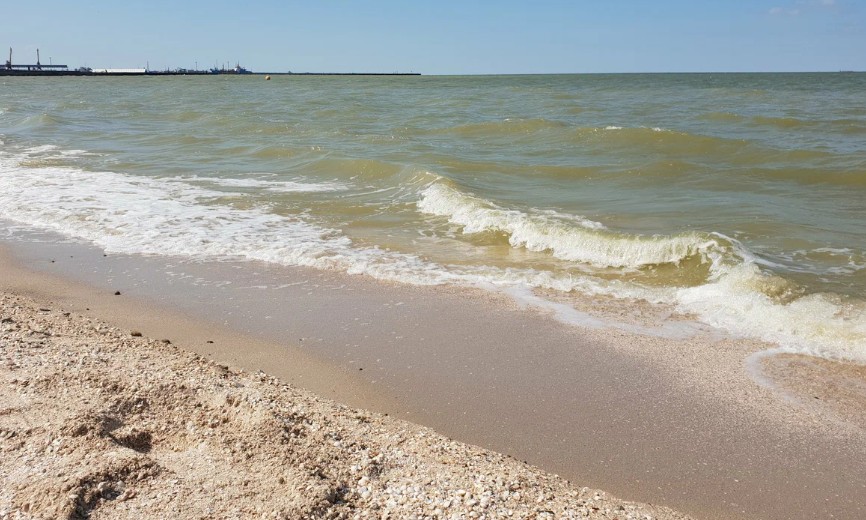 Где лучше купаться при цветении