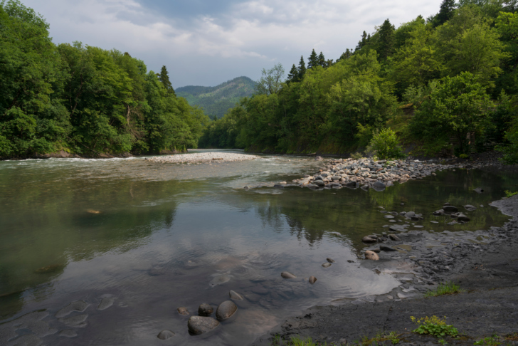 Кавказский заповедник 