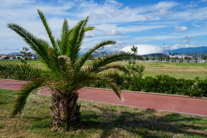 Олимпийский парк