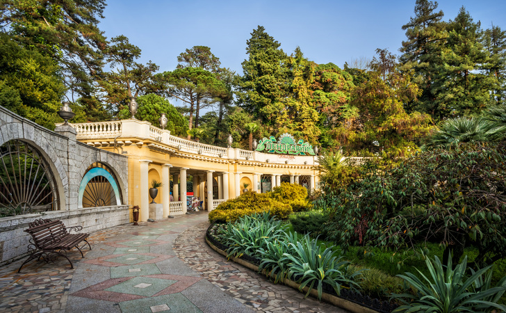 Дендрарий Сочи