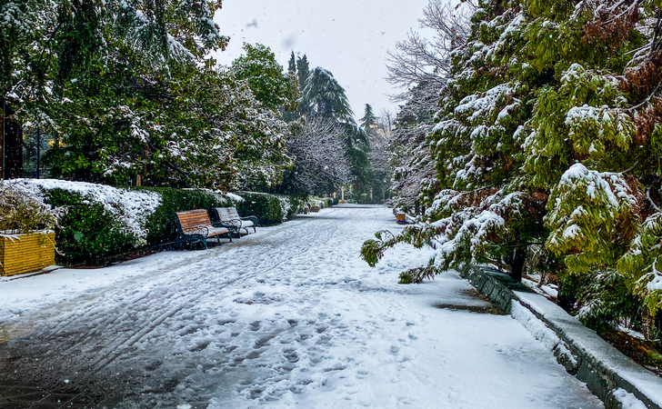 Погода в Сочи в декабре