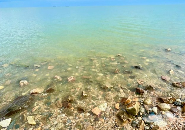 Почему море в Ейске цветёт - основные причины