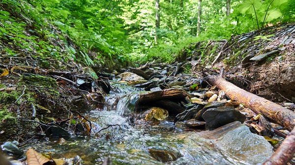 Маршрут и условия на тропе