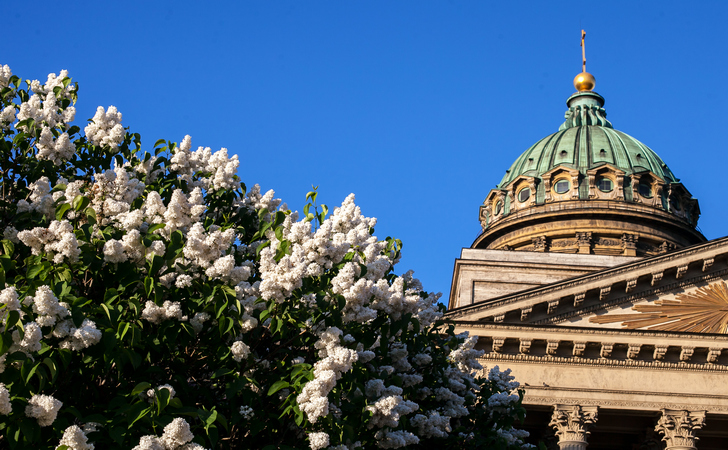 Санкт-Петербург в мае