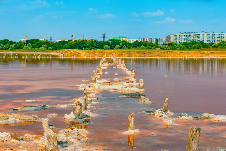 Розовое солёное грязевое лечебное озеро в Евпатории