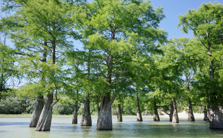 Озеро в Сукко