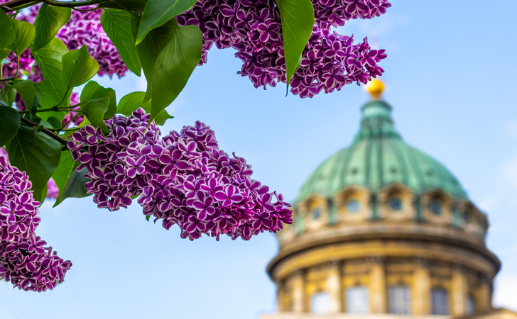 Санкт-Петербург весной