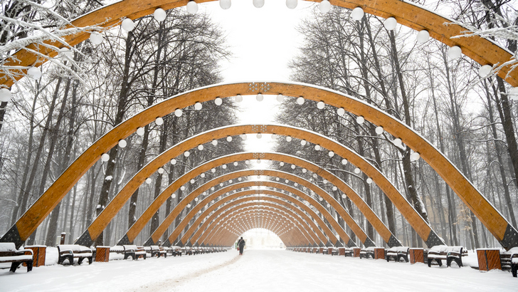 парк «Сокольники» в Москве зимой