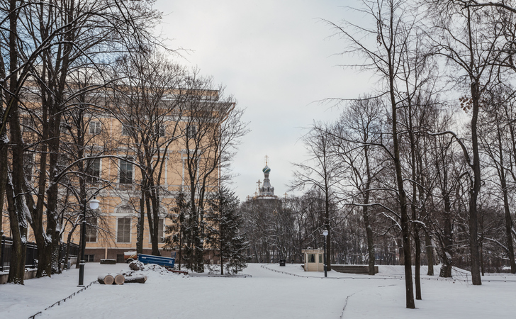 Михайловский сад зимой