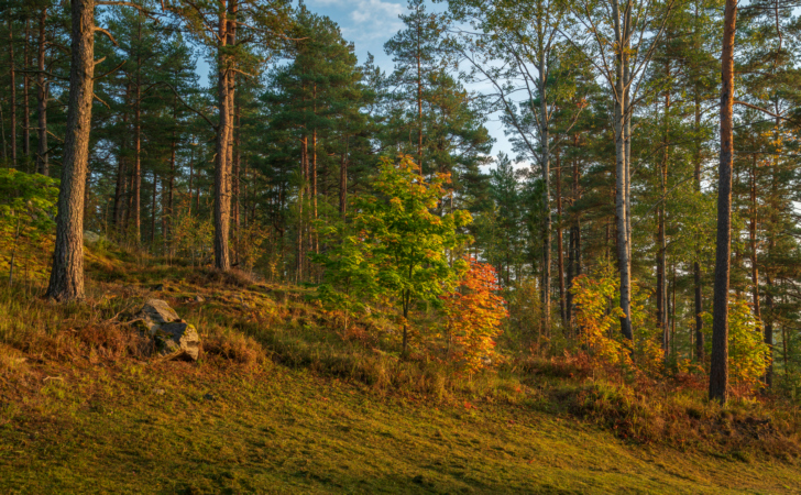 Карелия осенью