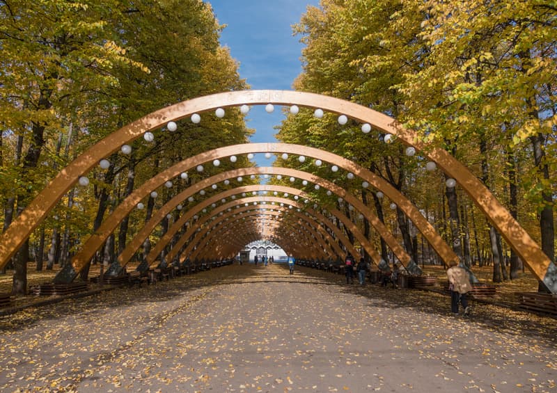 Сокольники