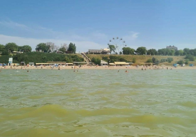 Когда и где чаще всего происходит цветение