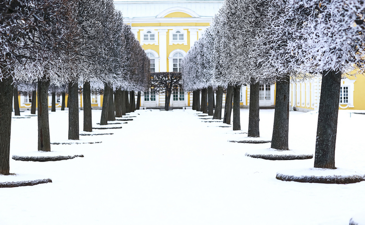 Парк в Петергофе зимой