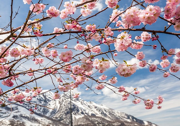 Весенний отдых в Адлере: март, апрель, май