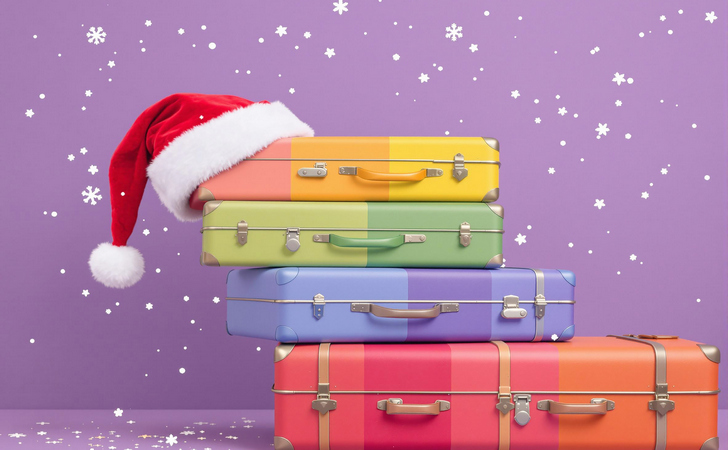 поездка на Новый год