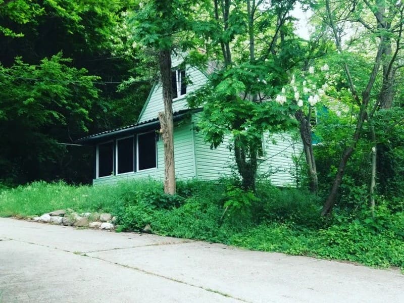 Кемпинг «Пальмира»