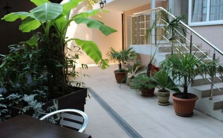 Лесная сказка в Лазаревском