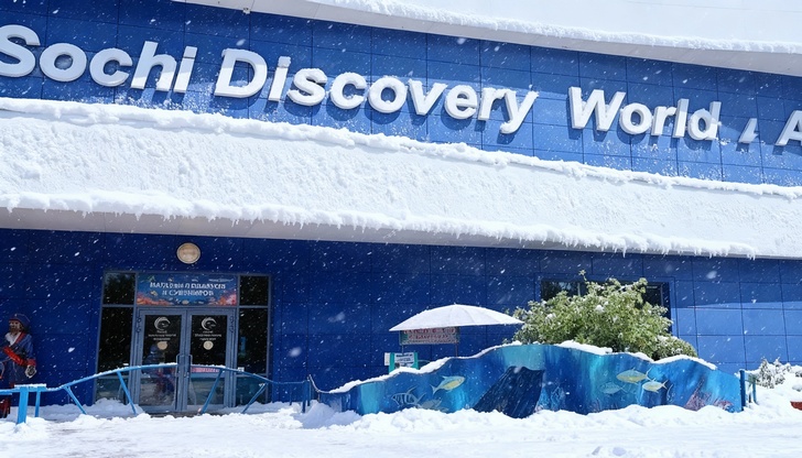 Океанариум Sochi Discovery World Aquarium