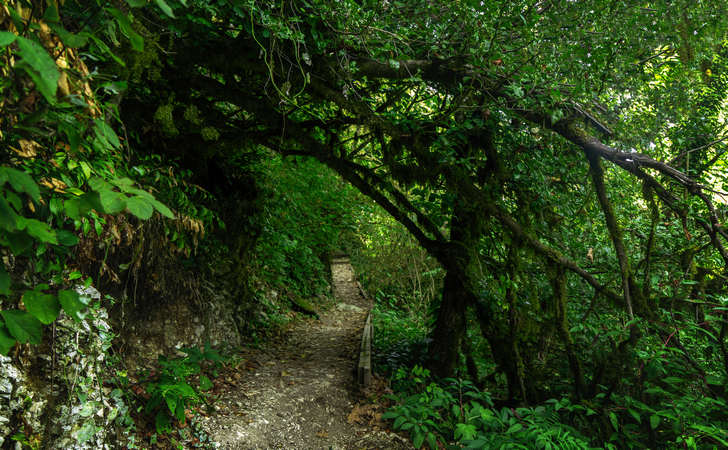 Сочинский национальный парк