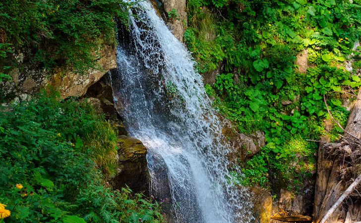 Что посмотреть в Красной Поляне