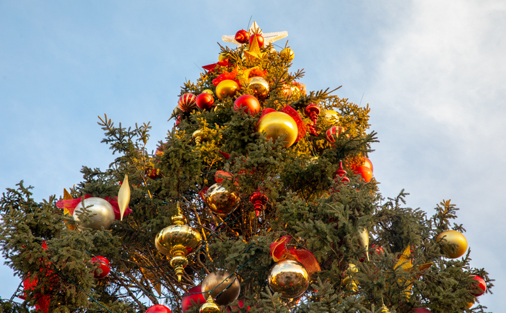 Главная елка